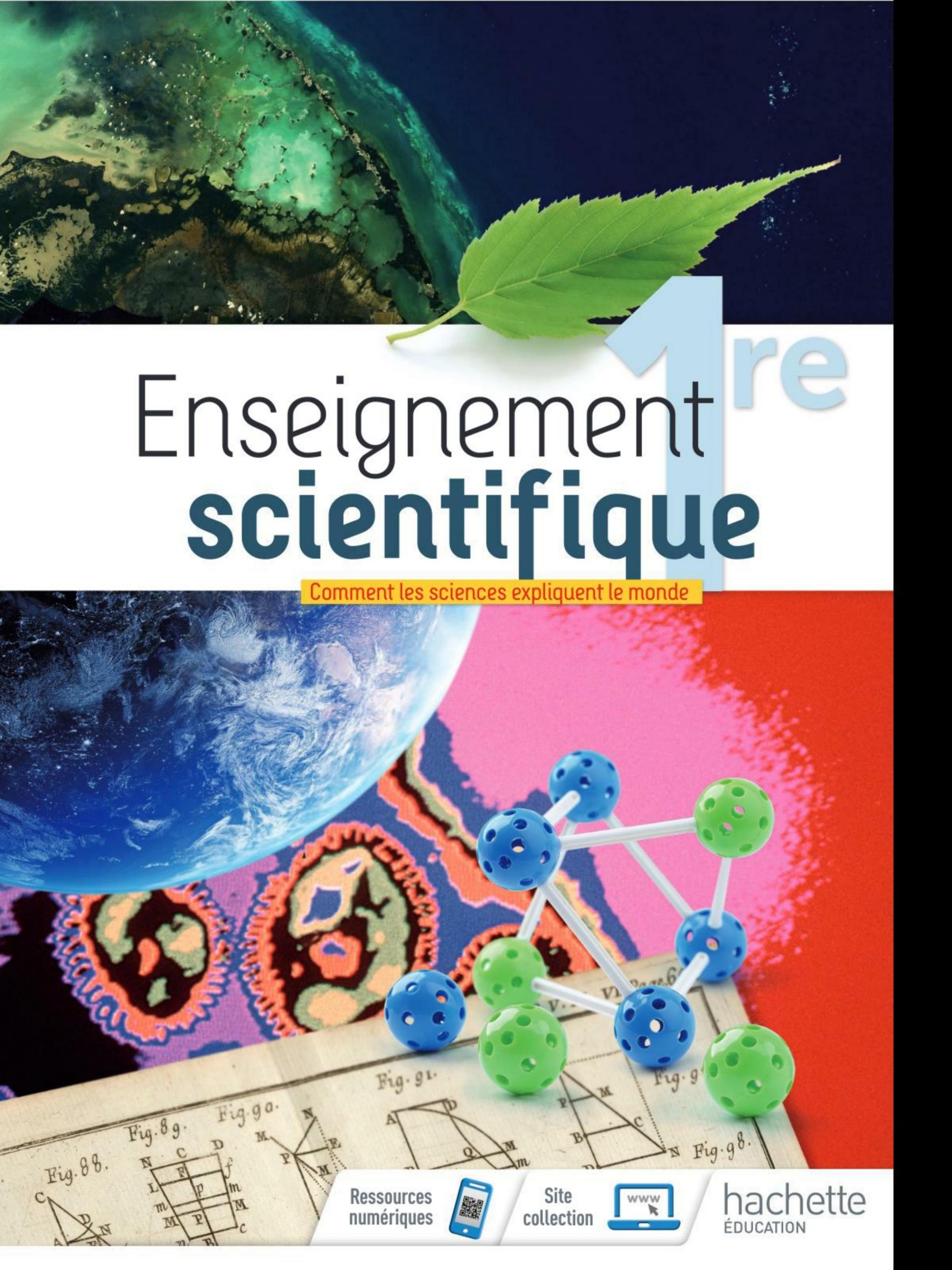 Hachette Enseignement Scientifique 1re 2019